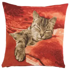 Henriette Ronner Sleeping Cat Red I Tapestry Pillow Cover 19x19 Inch Cotton Jacquard Woven Cushion Cover