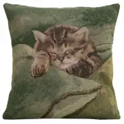 Sleeping Cat Green European Cushion Cover