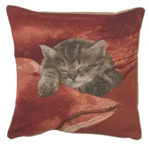 Henriette Ronner Sleeping Cat Red II Tapestry Pillow Cover 14x14 Inch Cotton Jacquard Woven Cushion Cover