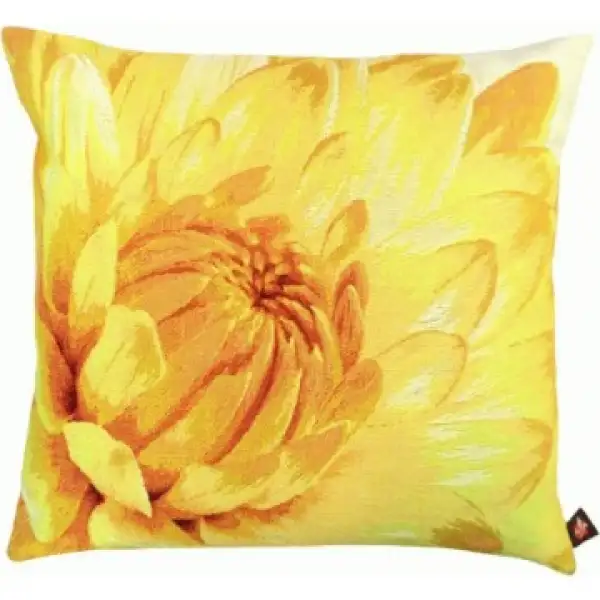 Close up on Light Yellow Dahlias