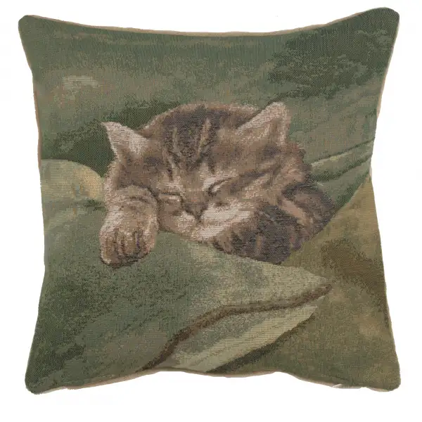 Sleeping Cat Blue