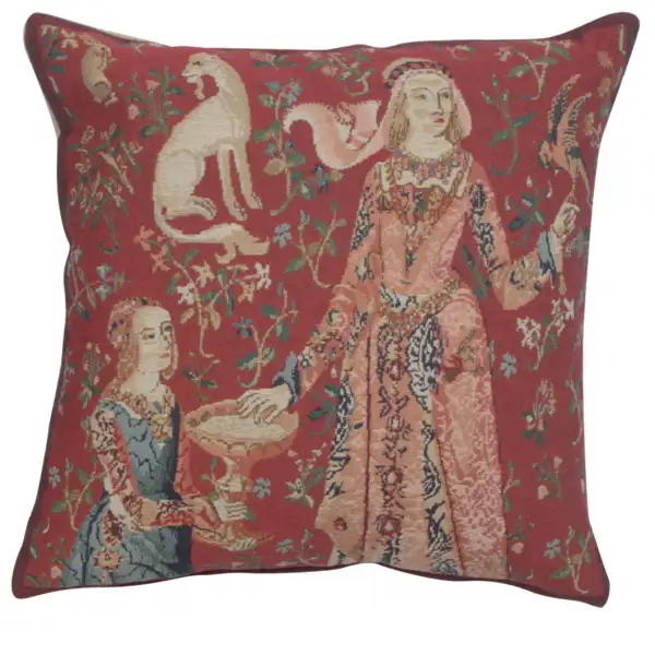 Licorne Gout Decorative Couch Pillow Cover