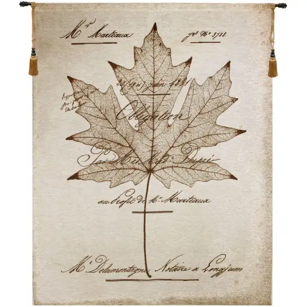 Maple Document