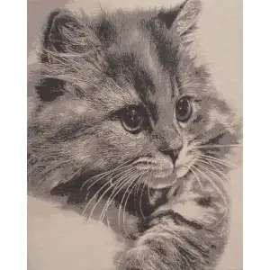Mister Whiskers Stretched Wall Tapestry 26x24 Inch Cat Portrait Woven Animal Home Decor