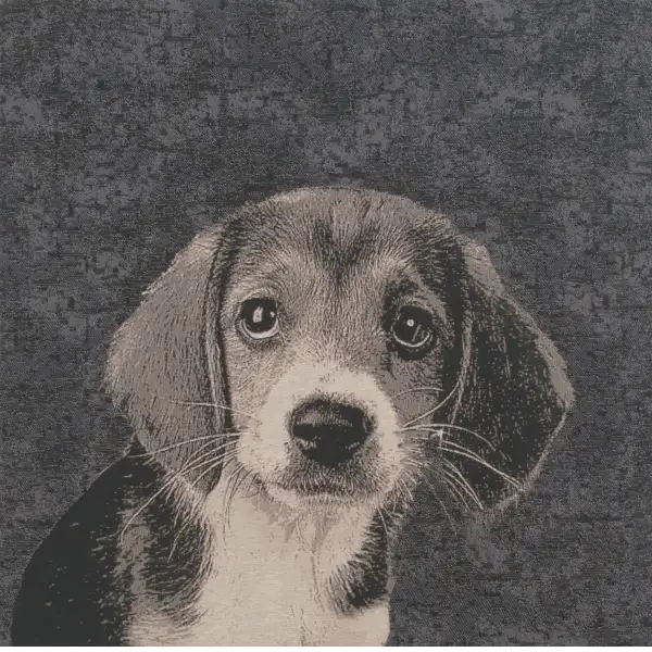 Puppy Dog Eyes