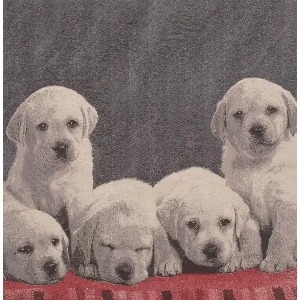 Puppy Loves