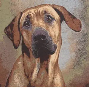 Soft Eyes Stretched Wall Tapestry 24x24 Inch Animal Portrait Woven Decorative Home Decor