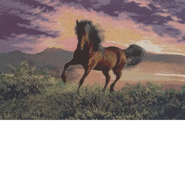 Gallop